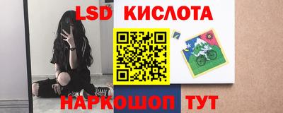 прущие грибы Будённовск