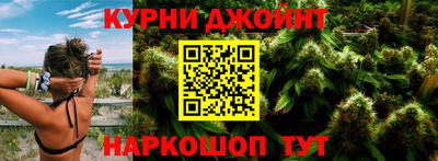 прущие грибы Будённовск